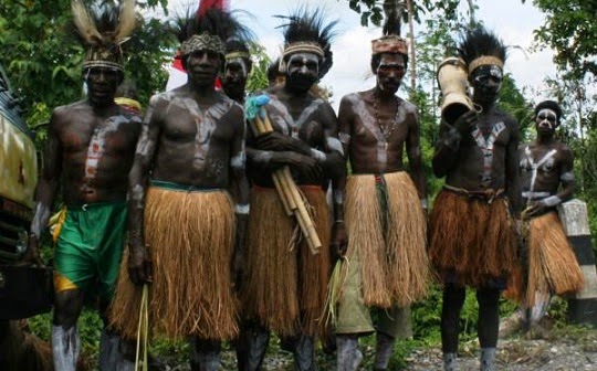 Celana Kulit Pohon Ulin dan Hologram Alam: Simbiosis Antara Tradisi, Inovasi, dan Keajaiban Hutan Kalimantan