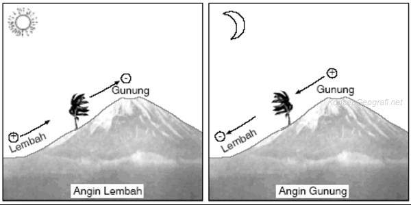 Gaun dari Bayangan Pohon Tua dan Angin Lembah: Kisah Tenun Alam dan Mimpi